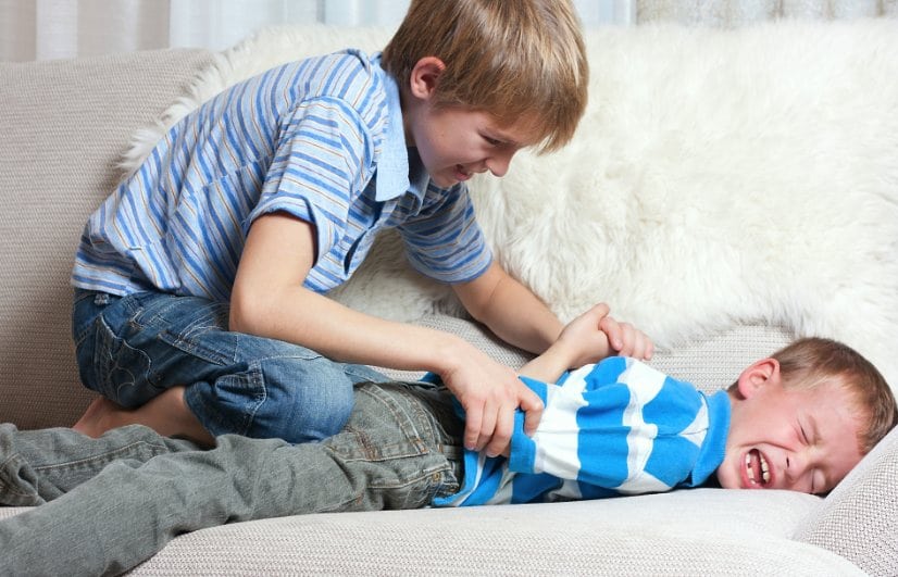 8 tipos de hermanos