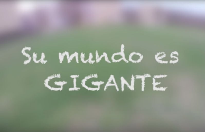 Un día en los ojos de tu bebé