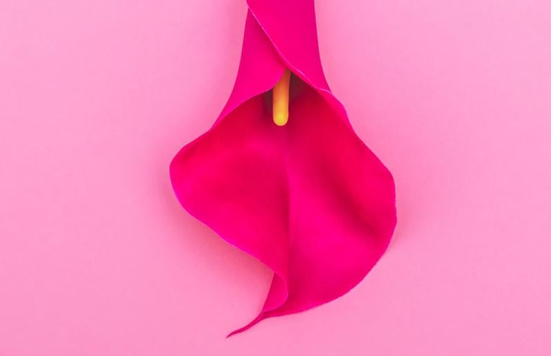 Cambios vaginales durante el embarazo, parto y posparto