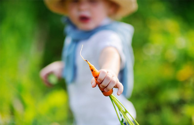 ¿Por qué no darle de comer alimentos procesados a tus hijos?