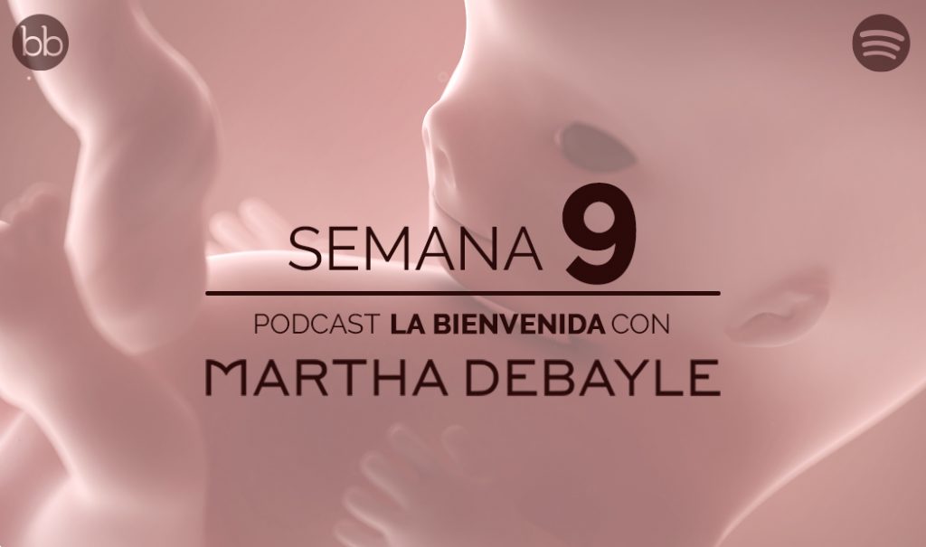 La bienvenida: semana 9 del embarazo